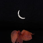 Crescent Chand Earring - Quirksmith
