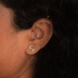 Trajva Lion Studs - Quirksmith