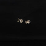 Trajva Lion Studs - Quirksmith