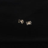 Trajva Lion Studs - Quirksmith