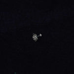 Buttercup Flower Nosepin - Screw - Quirksmith