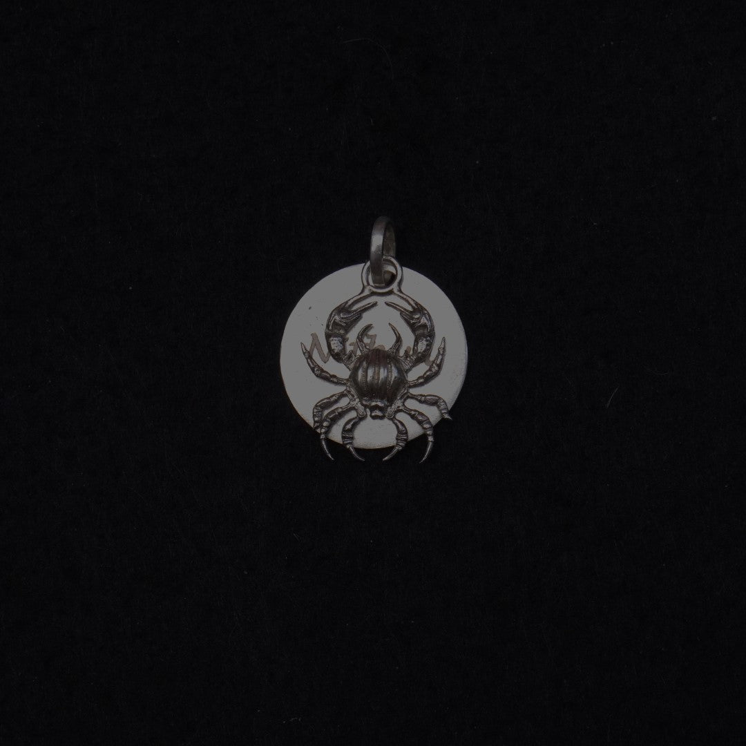 Cancer Pendant - Without chain - Quirksmith