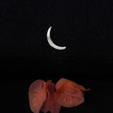 Crescent Chand Earring - Quirksmith