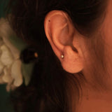 Dot Nosepin Stud - Wire - Quirksmith