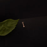 Dot Nosepin Stud - Wire - Quirksmith