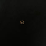 Dual Element Nosepin - Screw - Quirksmith