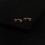 Gulal Hug Earrings - Quirksmith