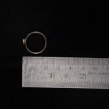 Shiuli Toe Ring - Single Piece - Quirksmith