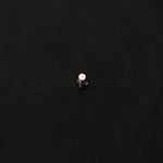 Tiny Flower Nosepin - Screw - Quirksmith